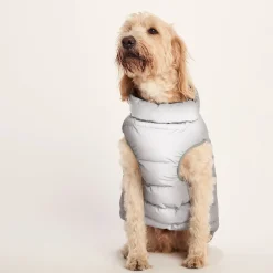 Fetch Padded Dog Coat L - Dark Indigo/Vanilla/Light Forest