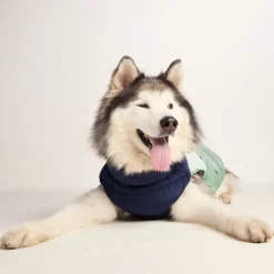 Fetch Padded Dog Coat L - Oxford Blue/Light Mist/Lavender Grey