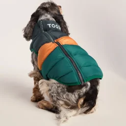 Fetch Padded Dog Coat M - Dark Indigo/Mahogany Orange/Dark Turquoise