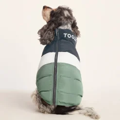 Fetch Padded Dog Coat M - Dark Indigo/Vanilla/Light Forest