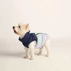 Fetch Padded Dog Coat S - Oxford Blue/Light Mist/Lavender Grey