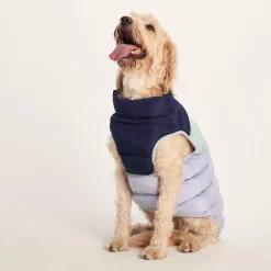 Fetch Padded Dog Coat XL - Oxford Blue/Light Mist/Lavender Grey
