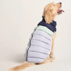 Fetch Padded Dog Coat XL - Oxford Blue/Light Mist/Lavender Grey