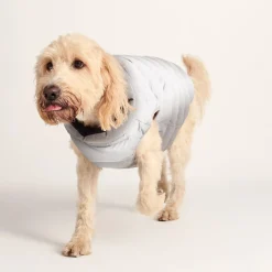 Fetch Padded Dog Coat XL - Oxford Blue/Light Mist/Lavender Grey
