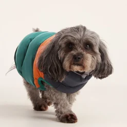 Fetch Padded Dog Coat XS - Dark Indigo/Mahogany Orange/Dark Turquoise