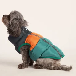 Fetch Padded Dog Coat XS - Dark Indigo/Mahogany Orange/Dark Turquoise