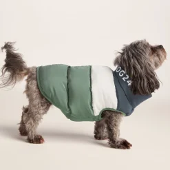 Fetch Padded Dog Coat XS - Dark Indigo/Vanilla/Light Forest