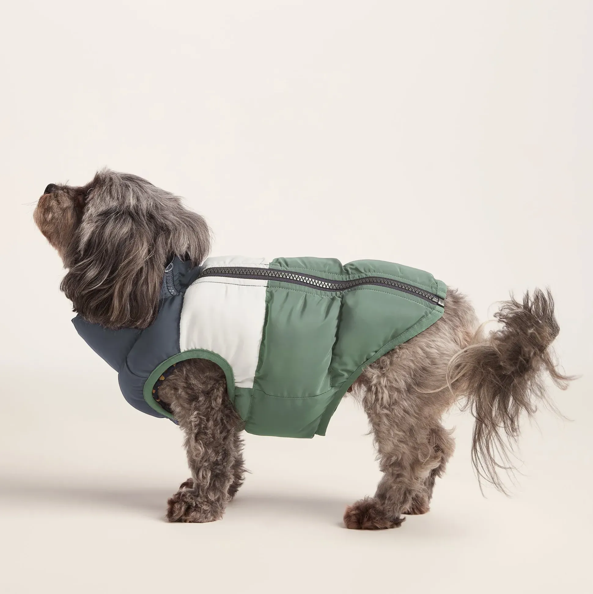 Fetch Padded Dog Coat XS - Dark Indigo/Vanilla/Light Forest
