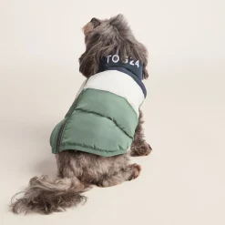 Fetch Padded Dog Coat XS - Dark Indigo/Vanilla/Light Forest