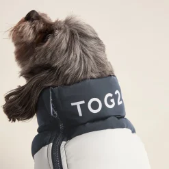Fetch Padded Dog Coat XS - Dark Indigo/Vanilla/Light Forest