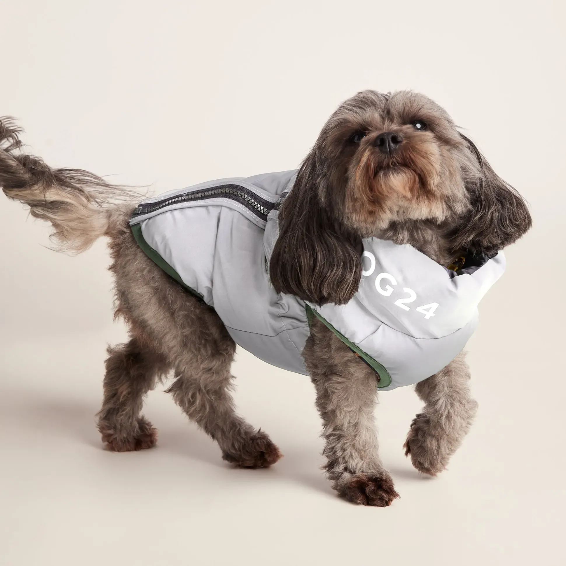 Fetch Padded Dog Coat XS - Dark Indigo/Vanilla/Light Forest