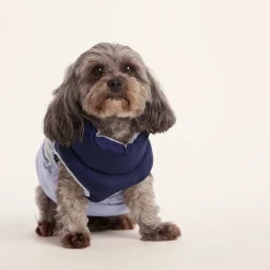 Fetch Padded Dog Coat XS - Oxford Blue/Light Mist/Lavender Grey
