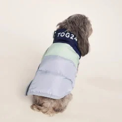 Fetch Padded Dog Coat XS - Oxford Blue/Light Mist/Lavender Grey