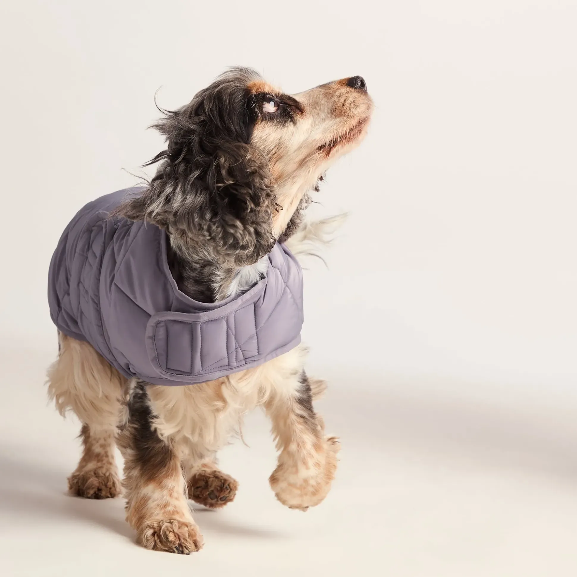 Fido Padded Dog Coat M - Dusky Lilac