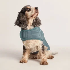 Fido Padded Dog Coat M - Graphite