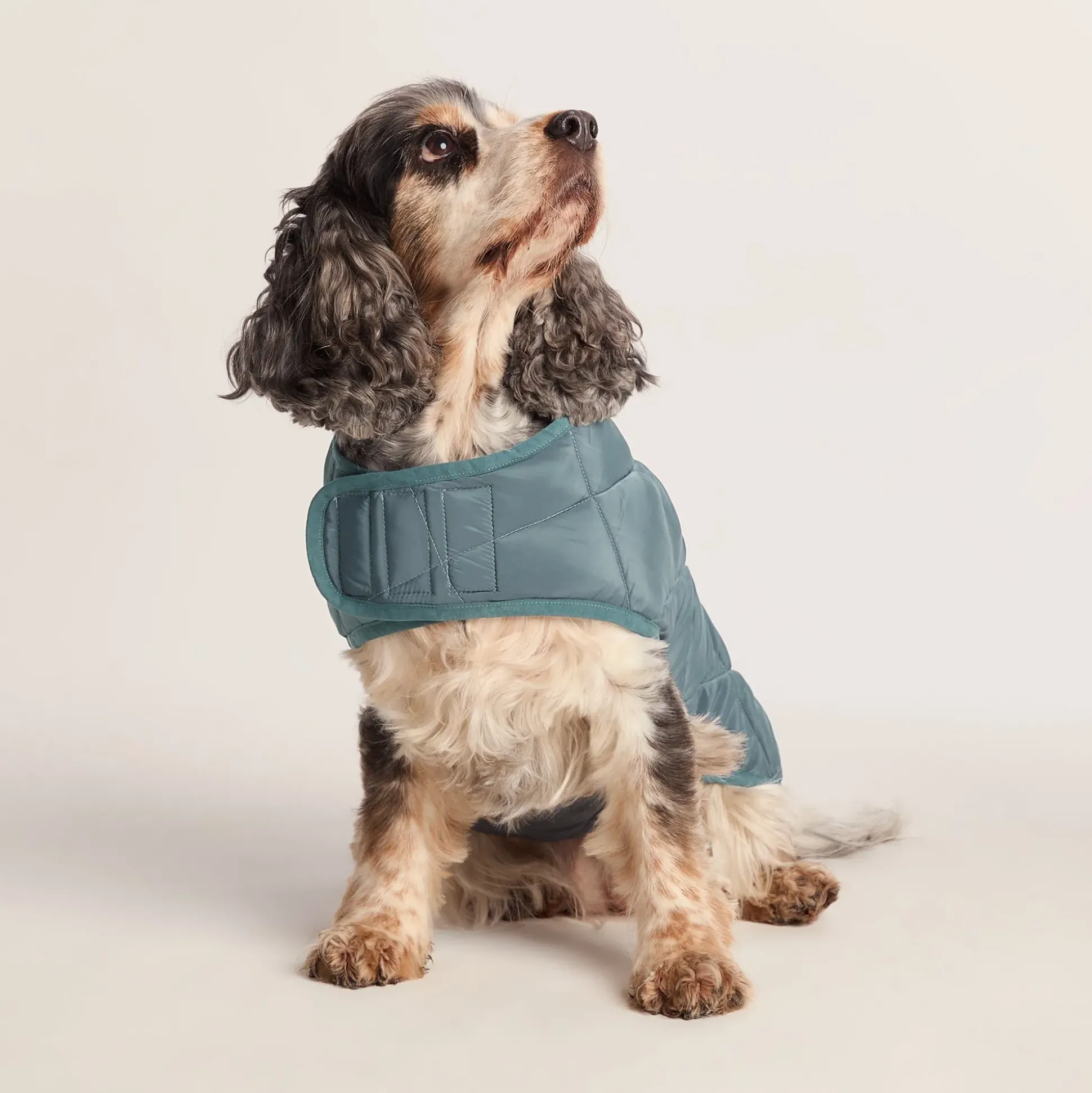 Fido Padded Dog Coat M - Graphite