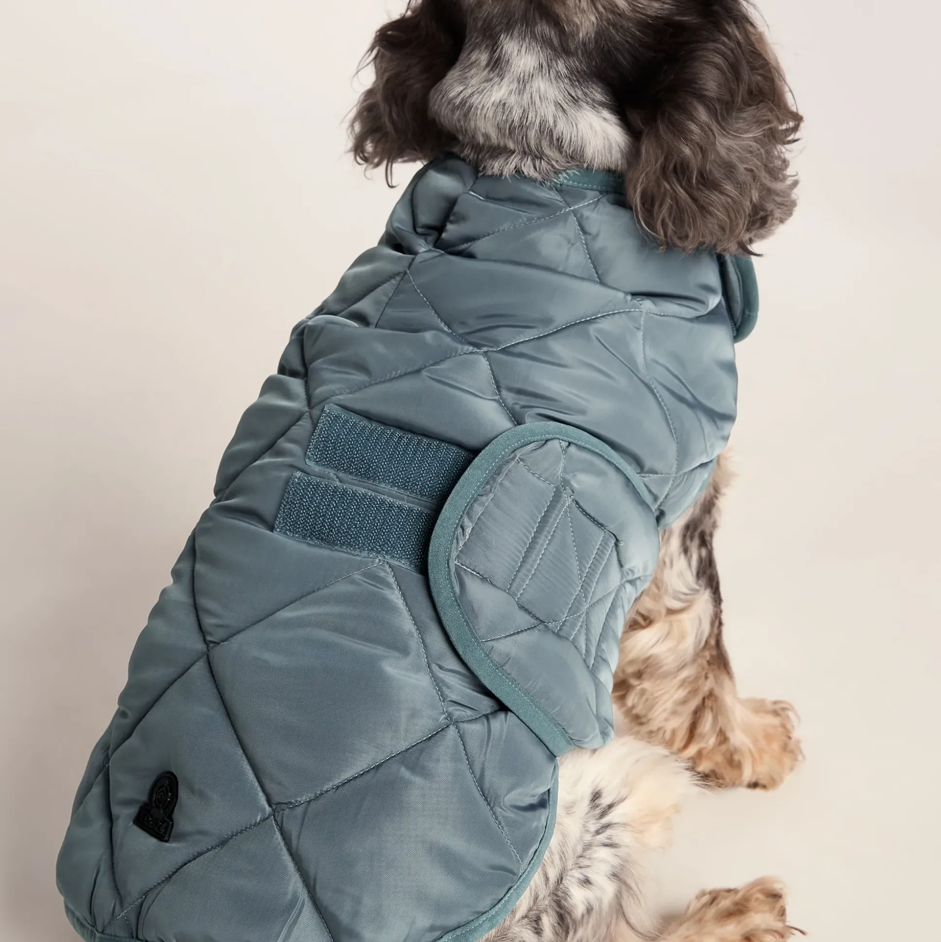 Fido Padded Dog Coat M - Graphite