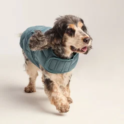 Fido Padded Dog Coat M - Graphite