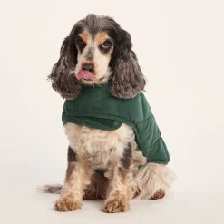 Fido Padded Dog Coat M - Racing Green