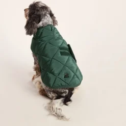 Fido Padded Dog Coat M - Racing Green