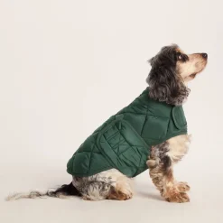 Fido Padded Dog Coat M - Racing Green