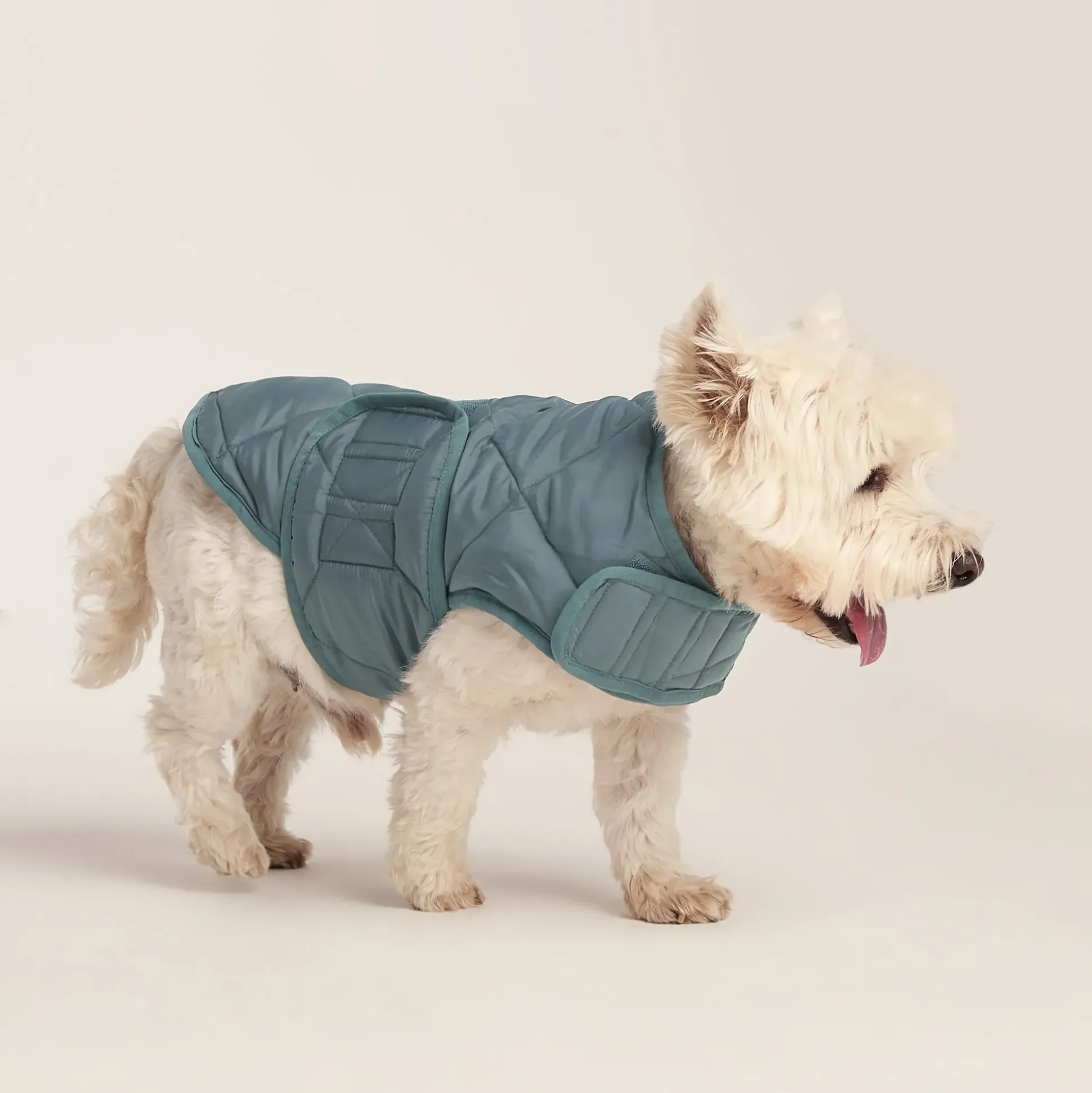 Fido Padded Dog Coat S - Graphite