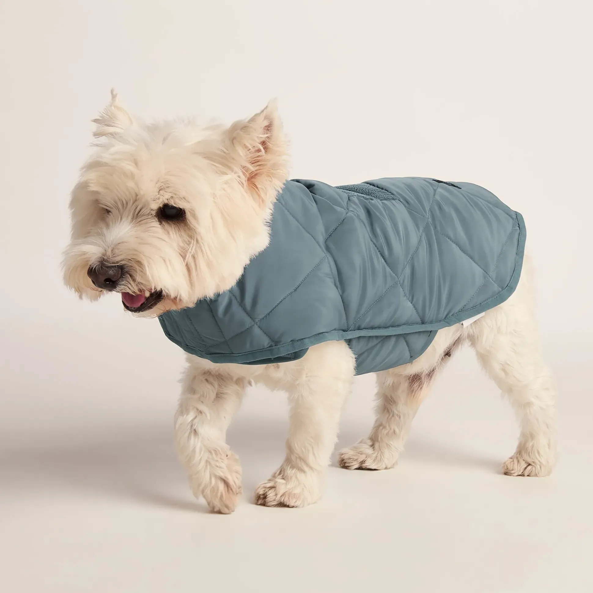 Fido Padded Dog Coat S - Graphite