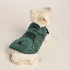 Fido Padded Dog Coat S - Racing Green