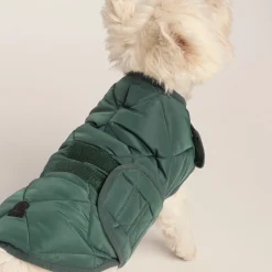 Fido Padded Dog Coat S - Racing Green