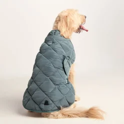 Fido Padded Dog Coat XL - Graphite