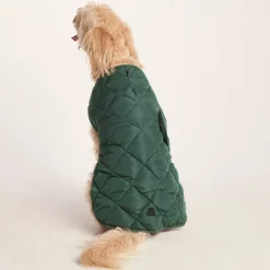 Fido Padded Dog Coat XL - Racing Green