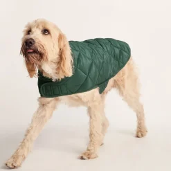 Fido Padded Dog Coat XL - Racing Green