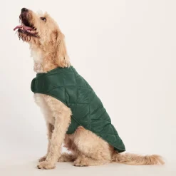Fido Padded Dog Coat XL - Racing Green