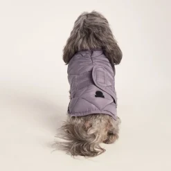 Fido Padded Dog Coat XS - Dusky Lilac