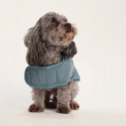 Fido Padded Dog Coat XS - Graphite