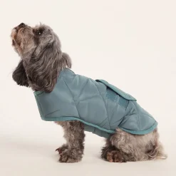 Fido Padded Dog Coat XS - Graphite