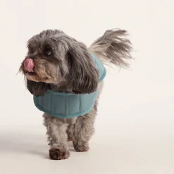 Fido Padded Dog Coat XS - Graphite