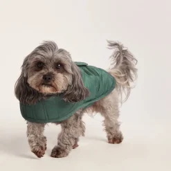 Fido Padded Dog Coat XS - Racing Green