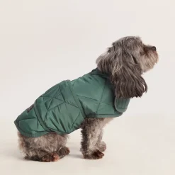 Fido Padded Dog Coat XS - Racing Green