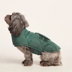 Fido Padded Dog Coat XS - Racing Green