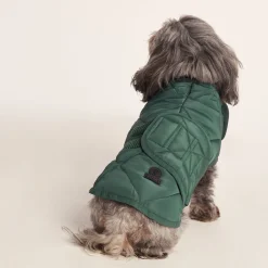Fido Padded Dog Coat XS - Racing Green