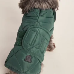 Fido Padded Dog Coat XS - Racing Green