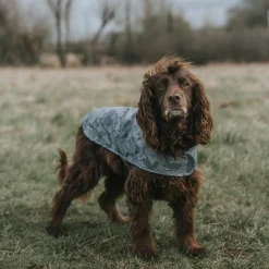 Hound Dog Coat XS - Steel Camo AOP