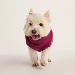 Rover Sherpa Dog Coat S - Washed Burgundy