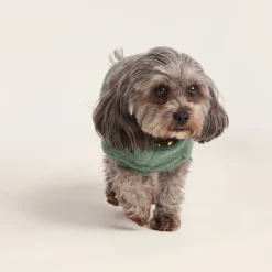 Rover Sherpa Dog Coat XS - Light Forest