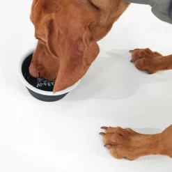 ThIrsty Dog Bowl - Dark Indigo