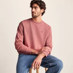 Warren Mens Relaxed Fit 100% Cotton Heavyweight Sweat - Redwood